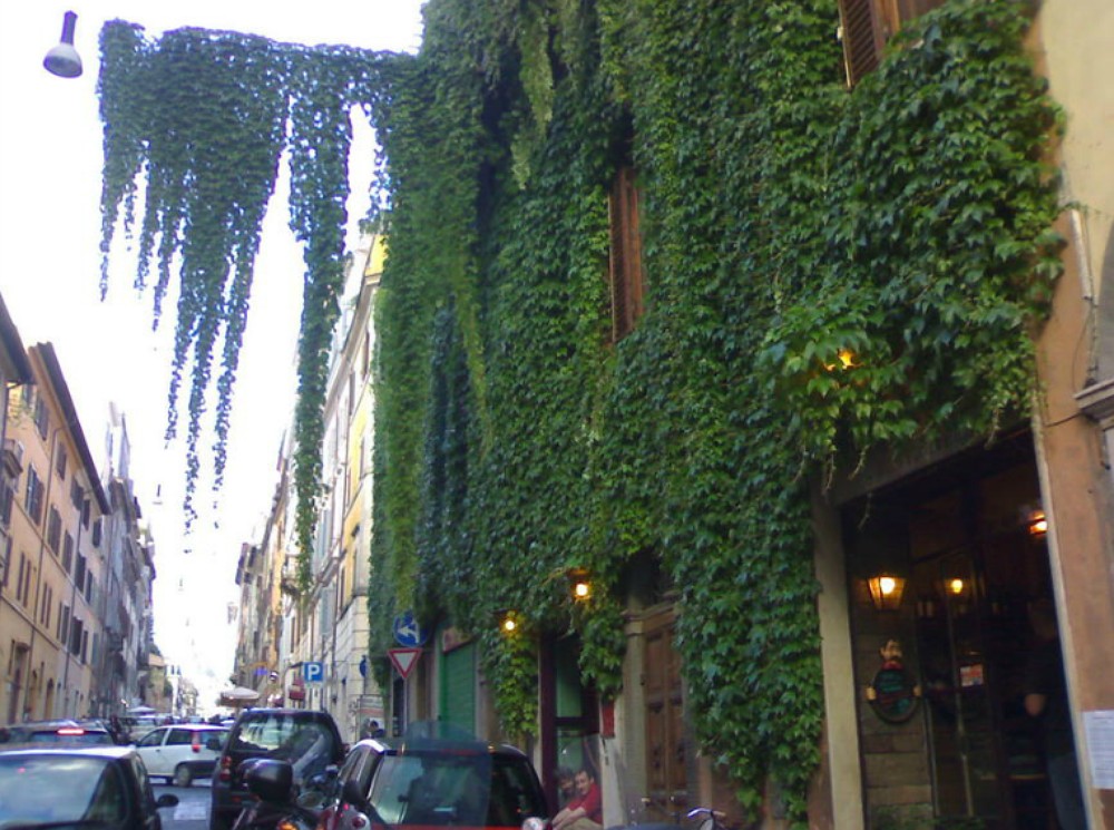 Shop This Now: The Pamela Love J.Crew Capsule Collection