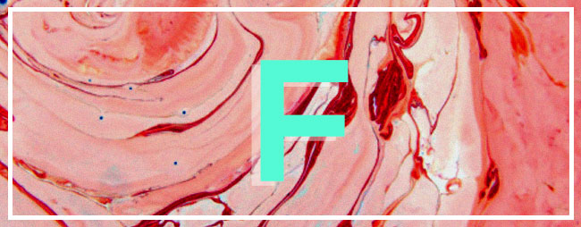 Graphic Design by Candace Napier