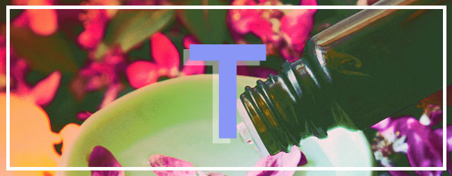 Graphic Design by Candace Napier