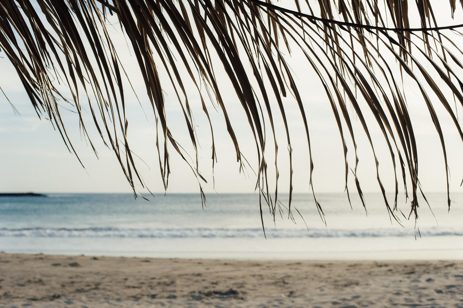 21614053475_5d79203a7d_k