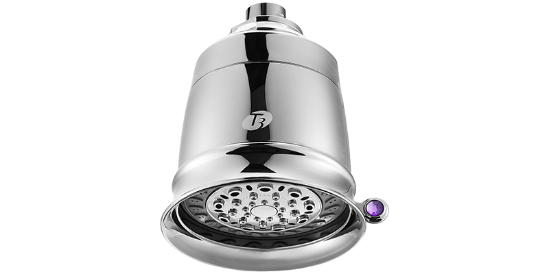 t3-showerhead-filter