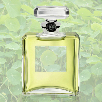 Tyra Banks Debuted Bleached Brows at Paris Fashion Week