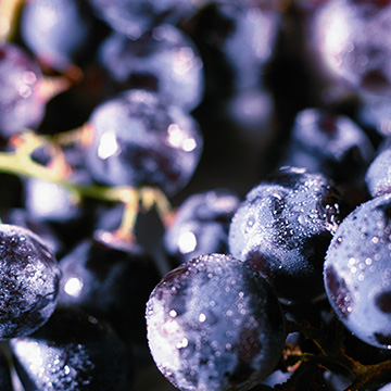 Caudalie Instant Detox Mask Is TikTok-Viral & on Sale at Space NK