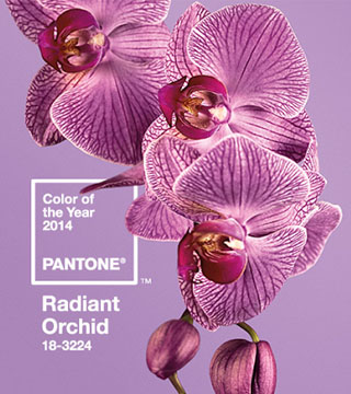 How Incorporate Pantone's Color of the Year Into Your Makeup Bag