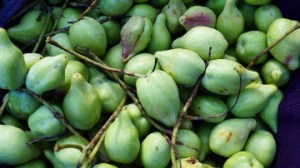 Best Cranberry Skin Care Products For Acne & Anti-Aging