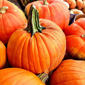 We Break Down All of the Best Celebrity Beauty Looks of the Week