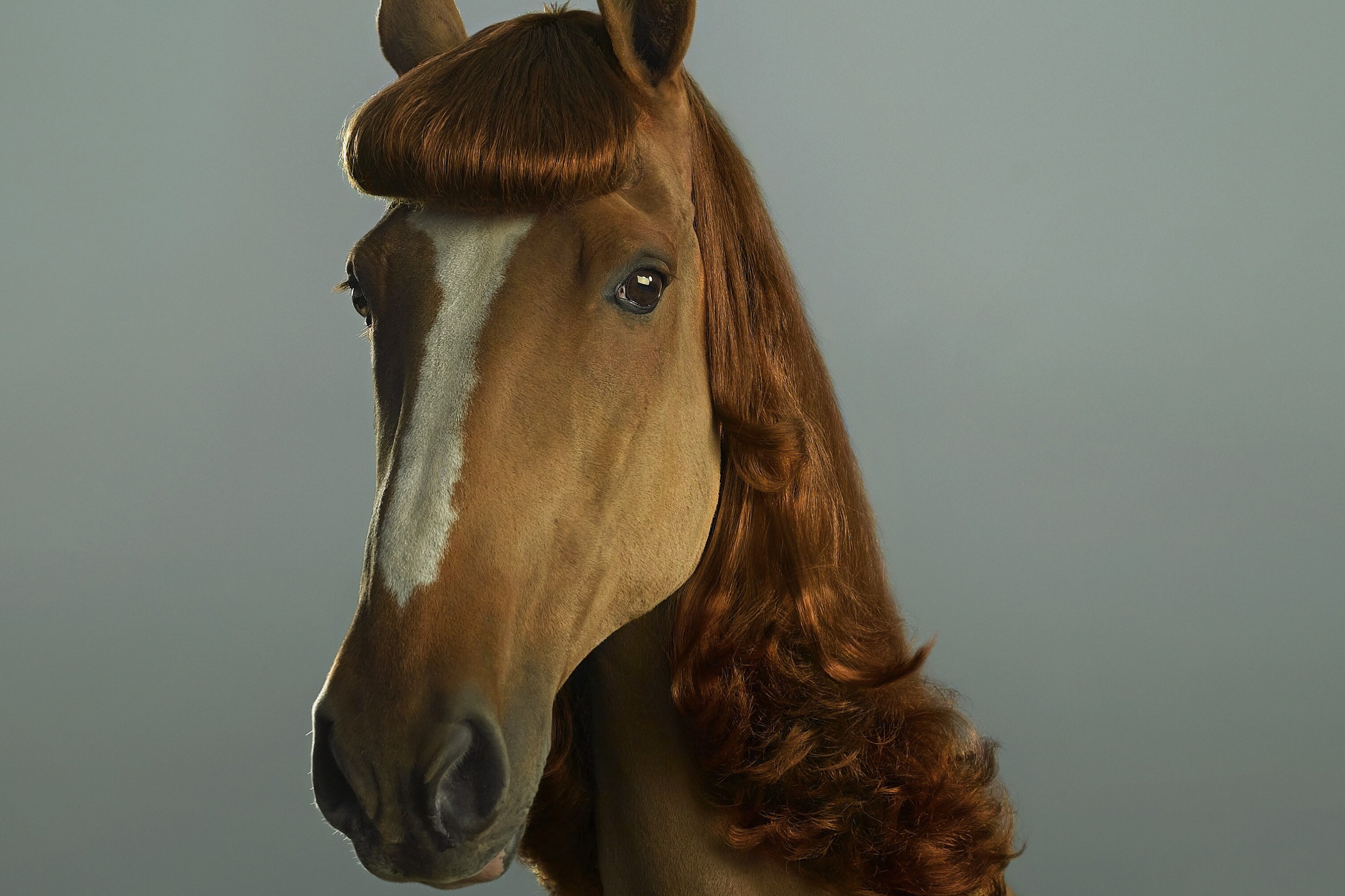 Zodiac Signs as Fish—Which One Swims Like You?