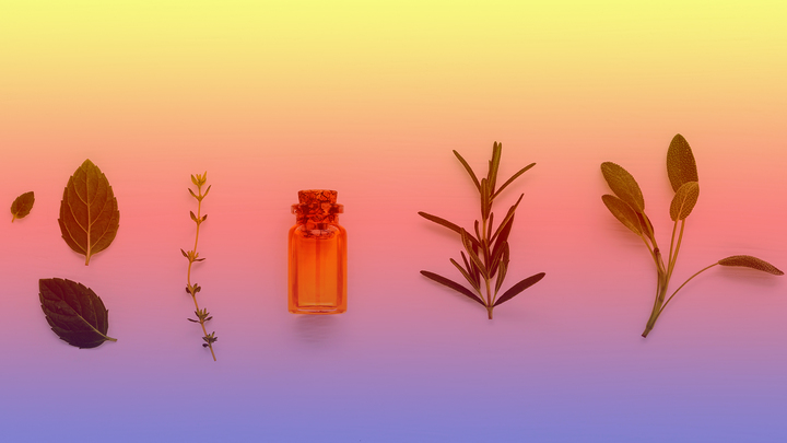 9 Plant Extracts That Are Good for Your Skin