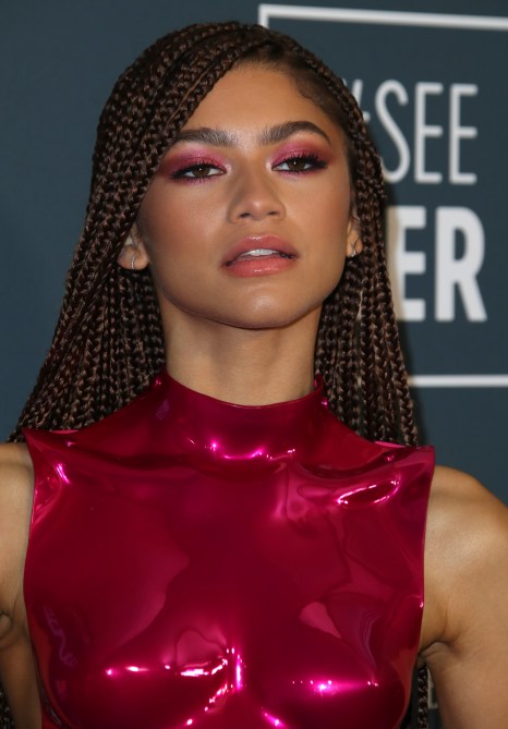 25th Annual Critics' Choice Awards, Arrivals, Barker Hanger, Los Angeles, USA - 12 Jan 2020