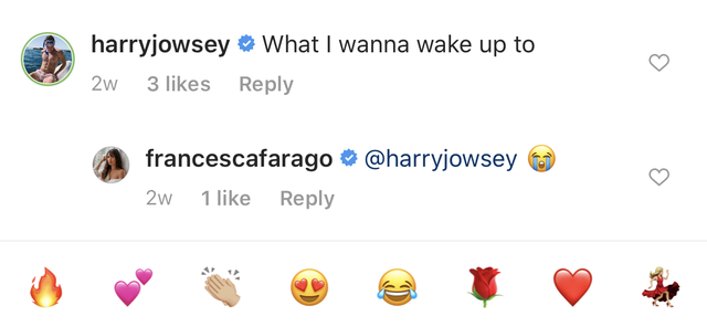 Harry-Francesca-Too-Hot-to-Handle-IG-Comment-2