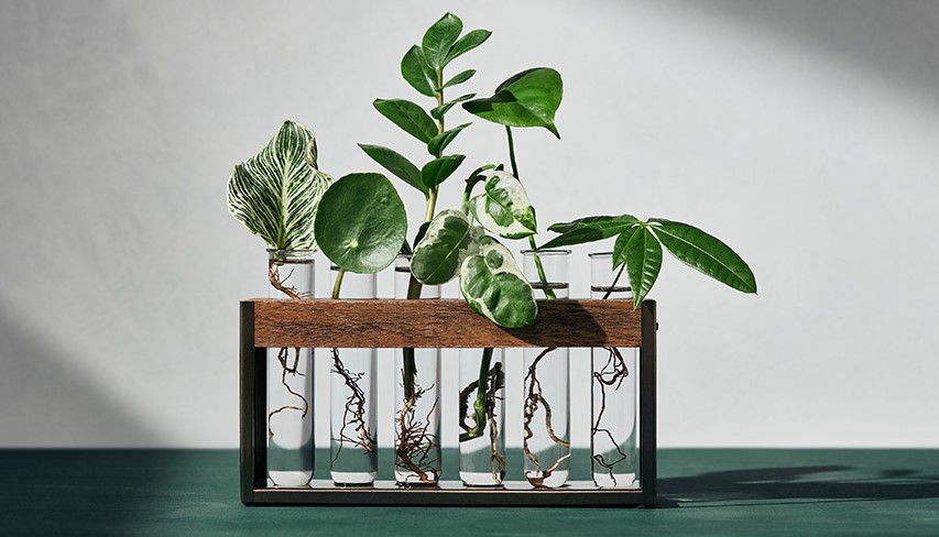 STYLECASTER | Hilton Cater x Target