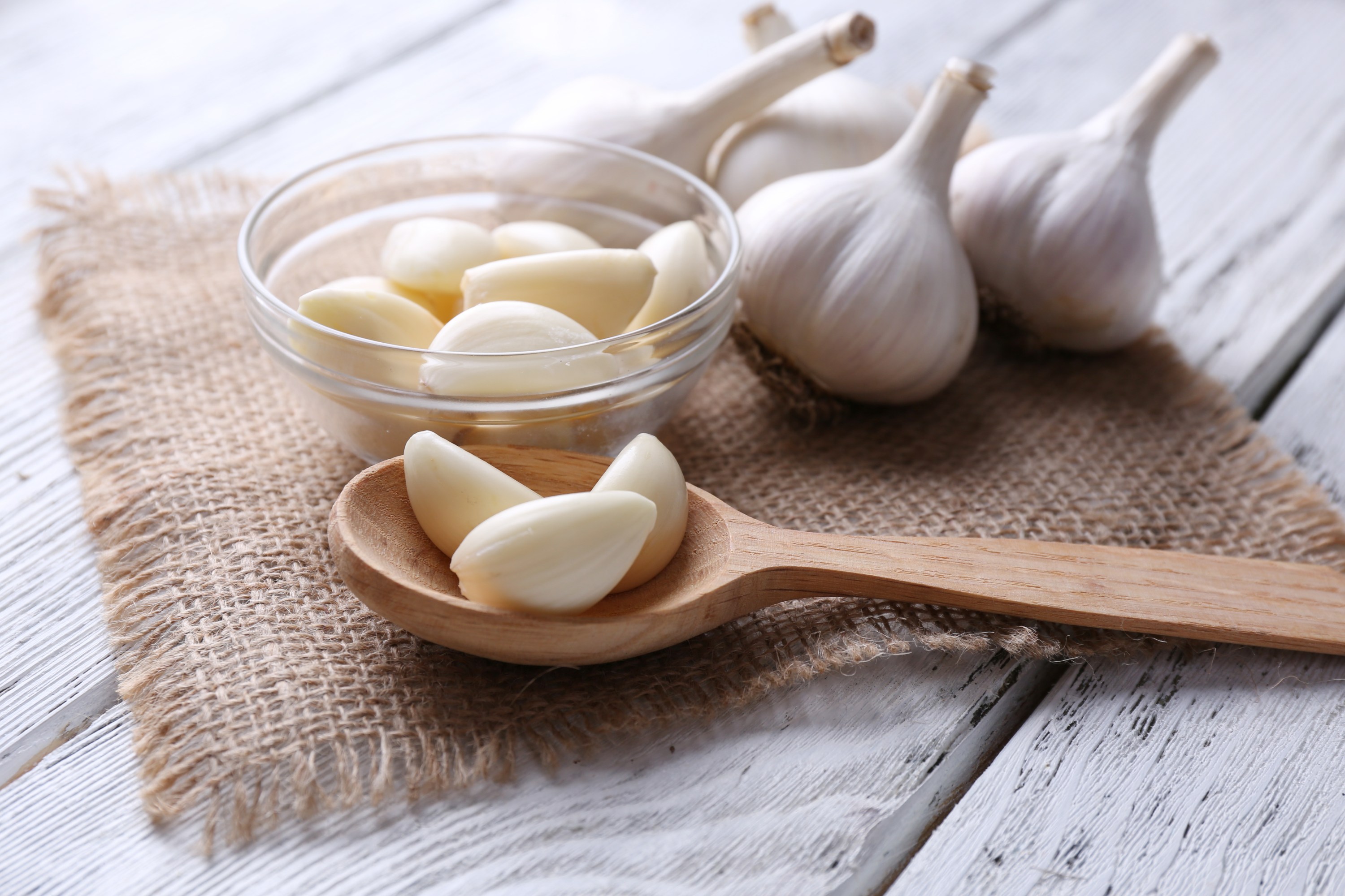 Garlic Adobe Stock