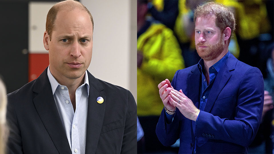 prince harry prince william