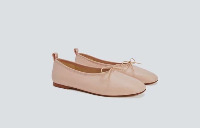 Everlane The Italian Leather Day Ballet Flat Pale Pink