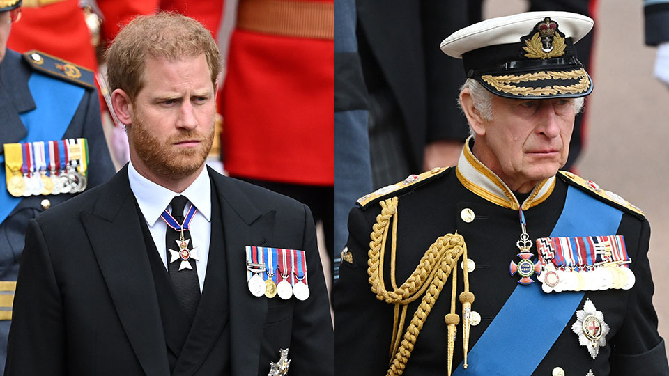 Prince Harry King Charles