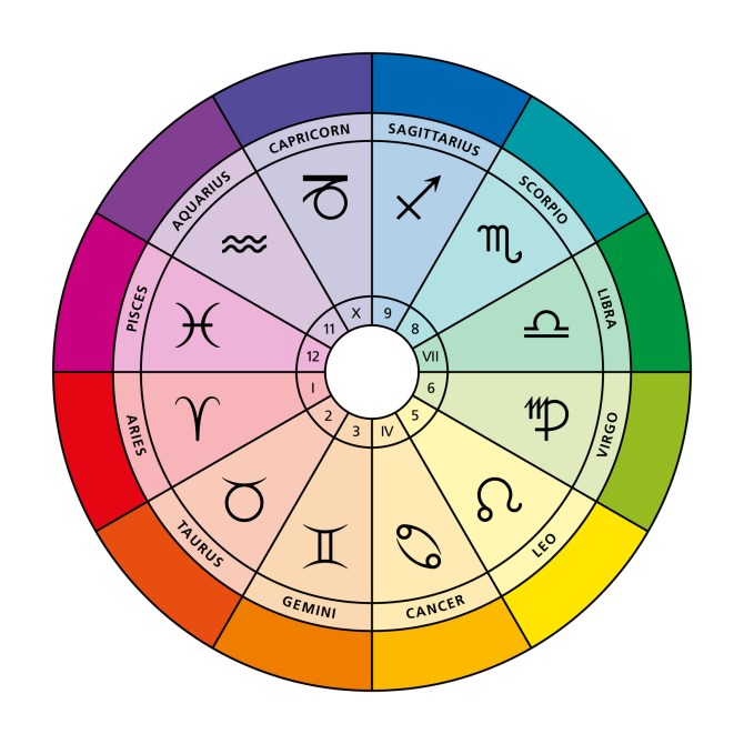 12 Houses Astrology Birth Chart