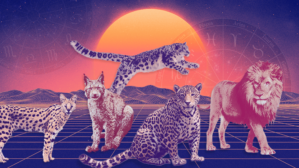 StyleCaster | Here's the Wild Cat That Captures Each Zodiac Sign