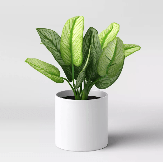 Artificial Variegated Leaf Arrangement - Threshold™