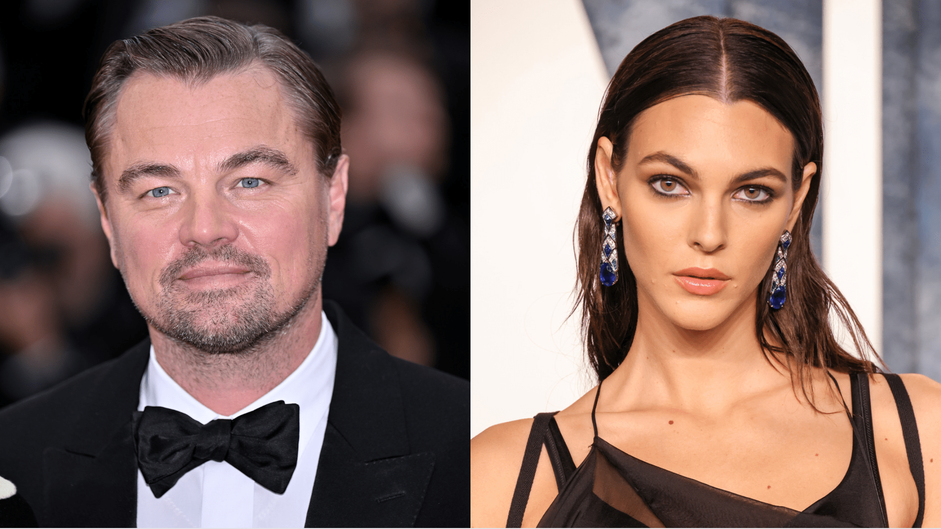 Leonardo DiCaprio, Vittoria Ceretti