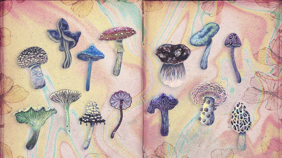 StyleCaster | Here's the Mushroom That Captures Each Zodiac Sign's Mystical & Psychedelic Side