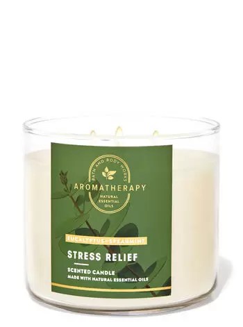 Aromatherapy
Eucalyptus Spearmint
3-Wick Candle