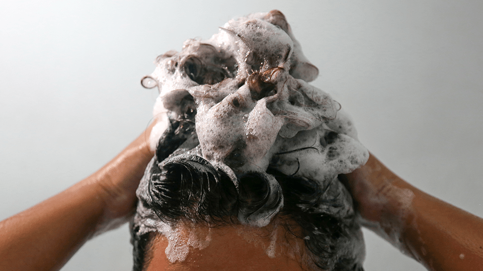 Shampoo Hair