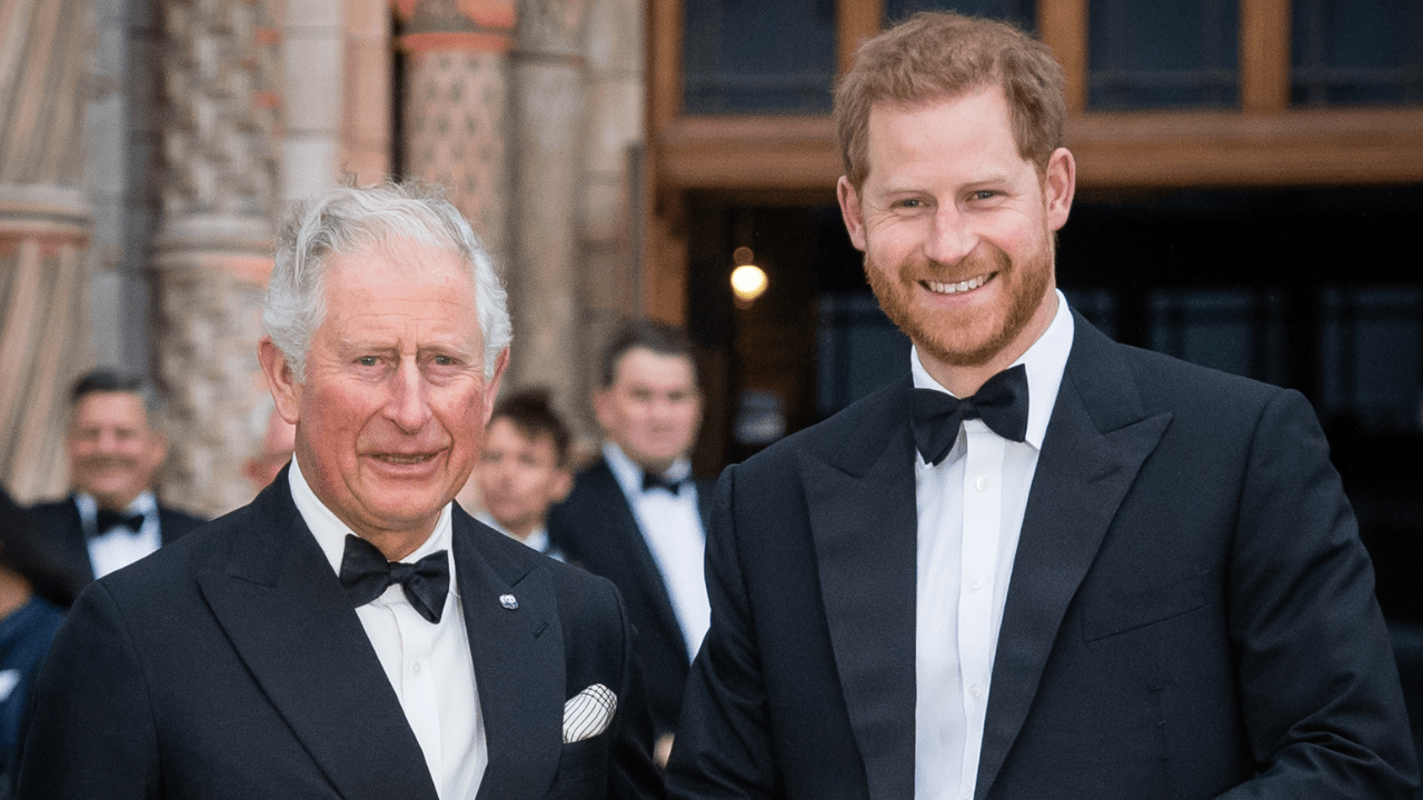 Is Prince Harry Flying Home to See Charles After The King's Cancer Diagnosis?