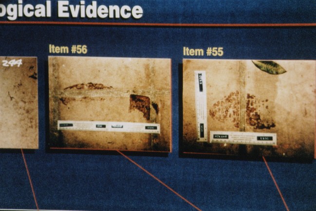Trial of former football player and actor O.J. Simpson. He's convictedl for the murder of his wife Nicole Brown and her friend Ronald Goldman on June 12, 1994.