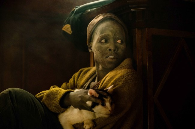 Lupita Nyong'o in A Quiet Place Day One with a cat. 
