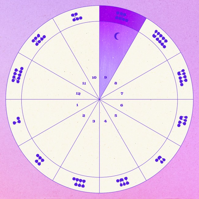 The moon in the ninth house