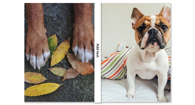 Full Photo Split Custom Cover Journal,