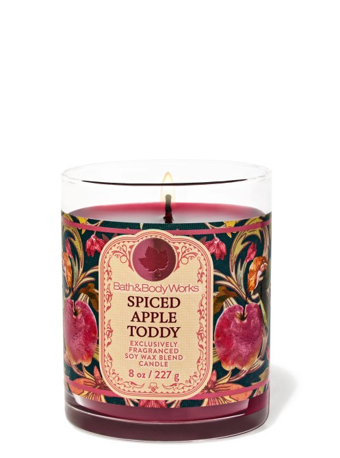 Bath & Body Works Spiced Apple Toddy Single Wick Candle